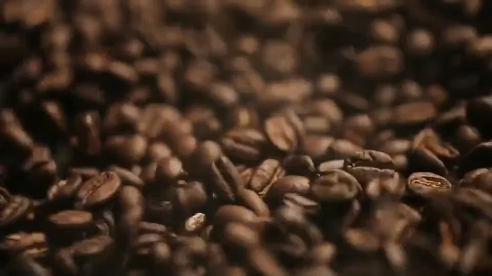 High Grade Processing Type Robusta Roasted Coffee Bean Original Vietnam