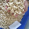 Organic Vietnam Origin Cashew Nut,Cashew Kernel,Cashew Without Shell for sale