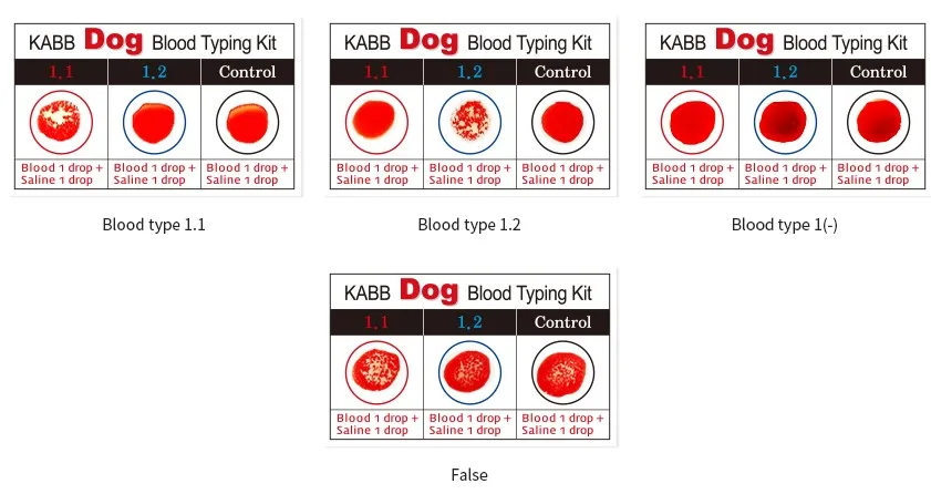 how many canine blood types are there