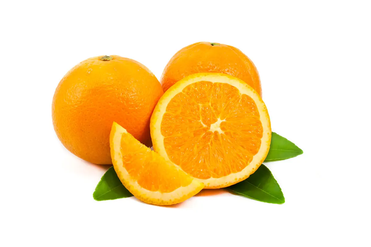 Turkish Orange Orange Fruit Exporter Turkish Orange Washington Navel ...