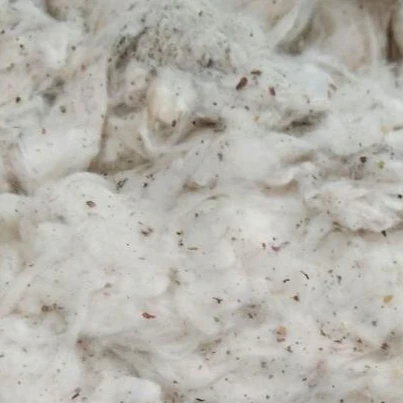 
COTTON WASTES LYCRINE A GRADE FROM INDIA 100% COTTON LYCRINE WASTE 