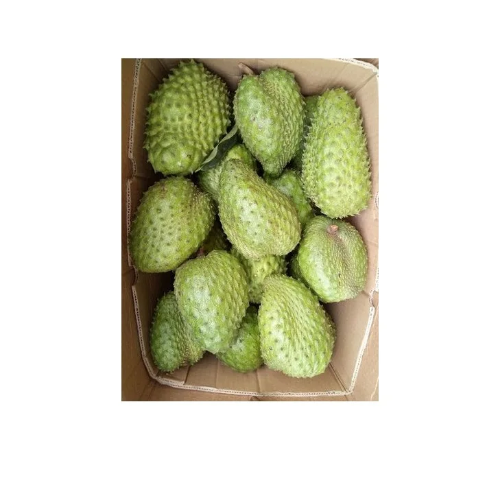 Fresh Soursop Fruit Graviola Fruit Frozen Soursop Pulp Buy