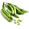 Price of broad beans dried Fava Beans