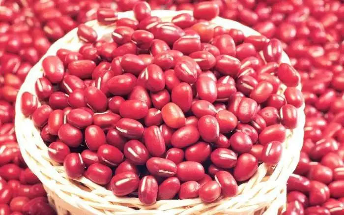 delicious red kidney beans / nutritious red kidney beans at low