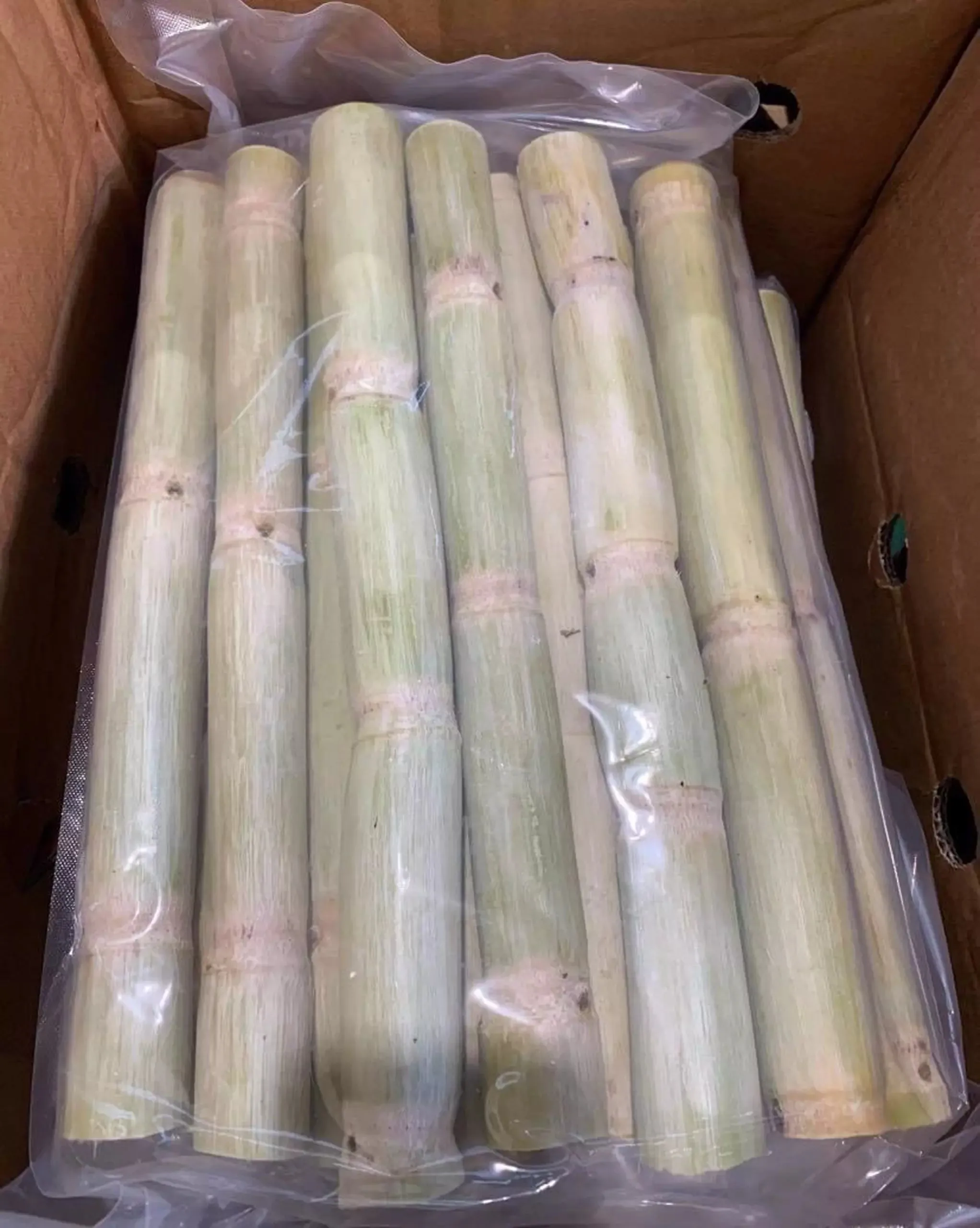 Agriculture Products High Quality Frozen Sugarcane Vietnam Sugar Cane