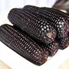 Buy Non-GMO Purple corn and Multi colour Glutinous Corn