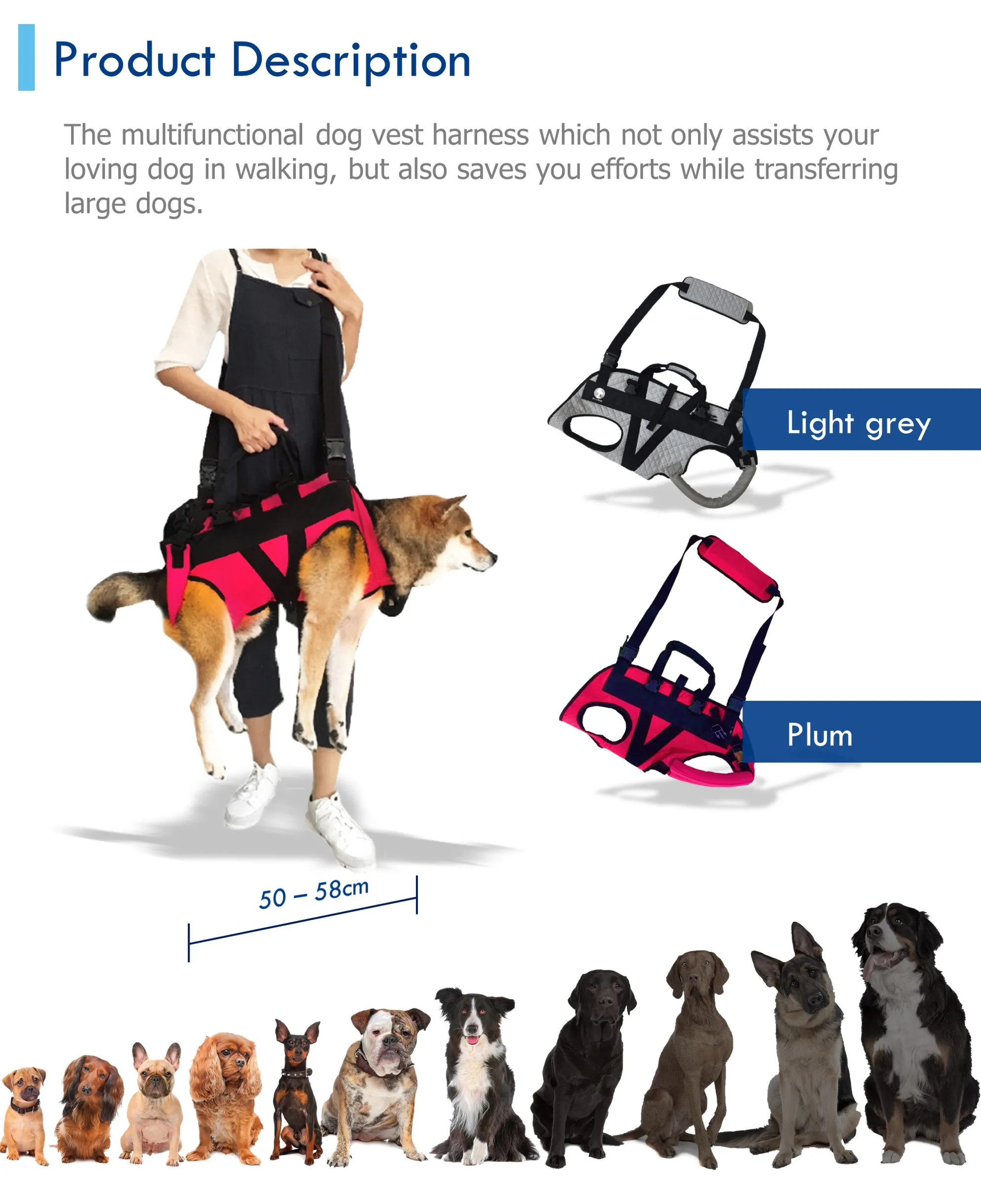 Assist Walker Pet Dog Mobility Aids Support Harness For Old Aid Dogs