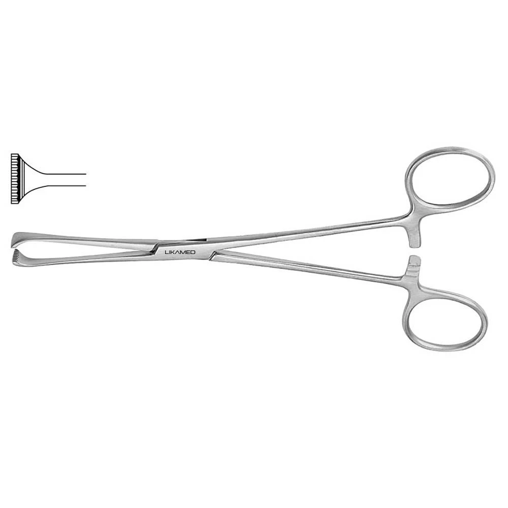 Allis Tissue Forceps Enables A Strong Grasp In Surgical Procedures ...