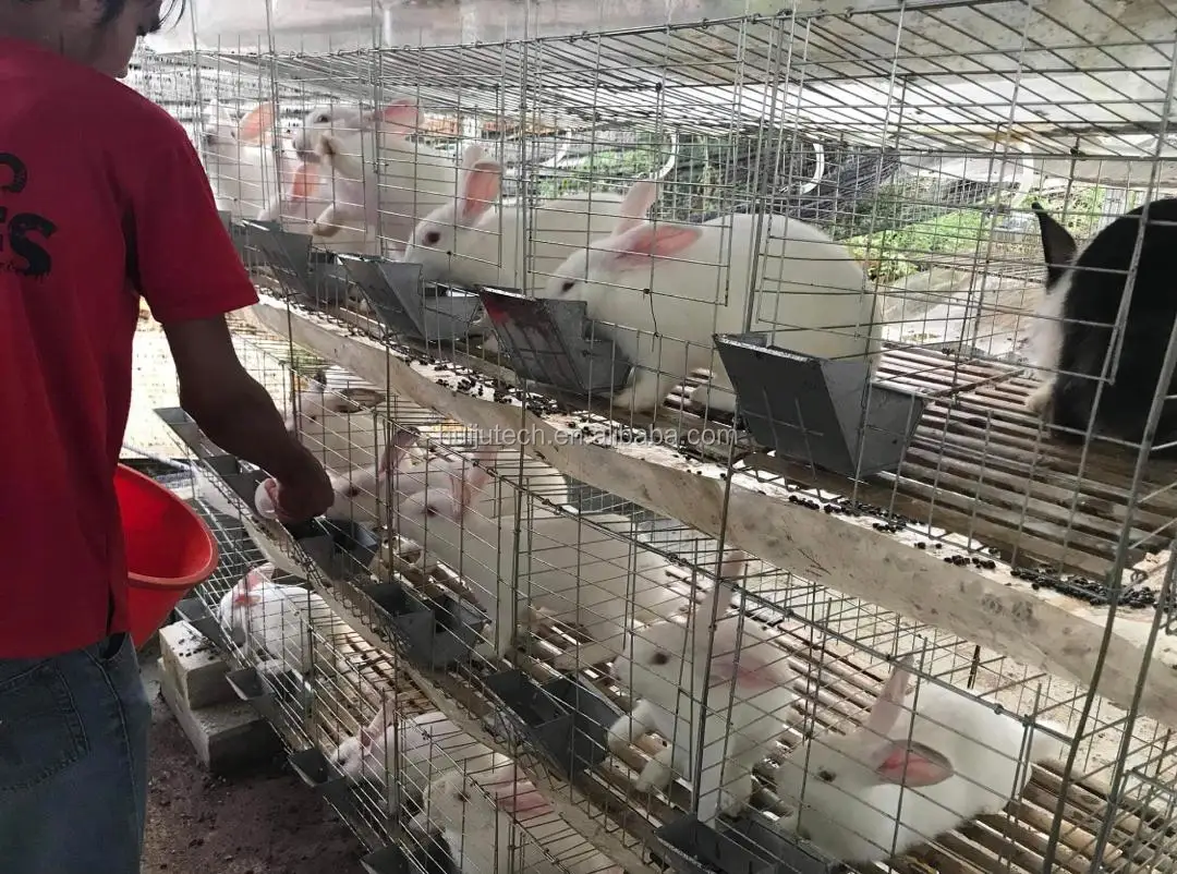 Popular In Philippines Commercial Rabbit Cage Farming Buy Commercial
