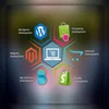 wordpress application development