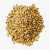 Malted Barley Grain / Malted Barley Kernel Premium Grade Wholesale