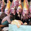 SUPER QUALITY Frozen Beef Carcass/Frozen Beef Cuts/ Halal Frozen Cow Meat for sale Halal Production