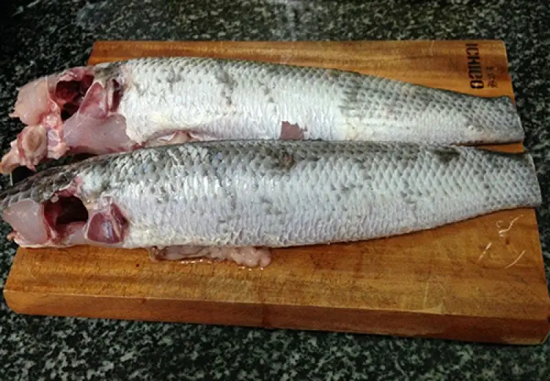 Frozen Snakehead Fish Whole Cleaned 1 Pieces Vietnam Food Export