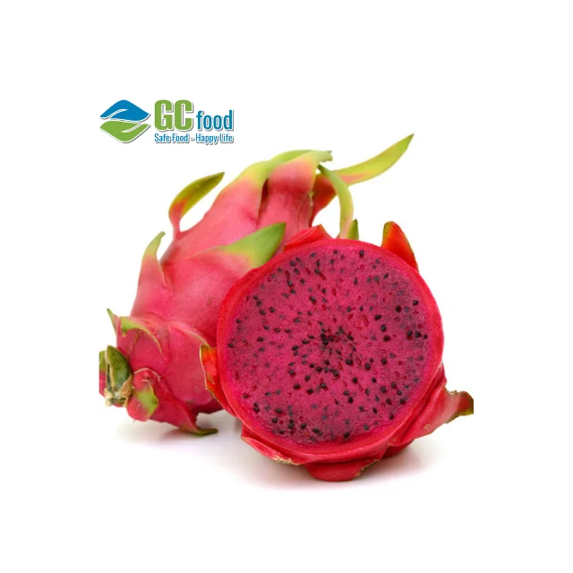 Fresh Dragon Fruit 2021 Premium Quality Fresh Fruit 100 Natural