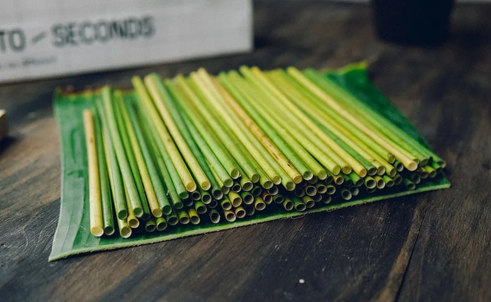High Quality Straws For Drinking/ Grass Drinking Straws Data Ph