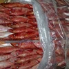 Best Price Frozen Red Seabream, Red Snapper fish, Red Mullet fish