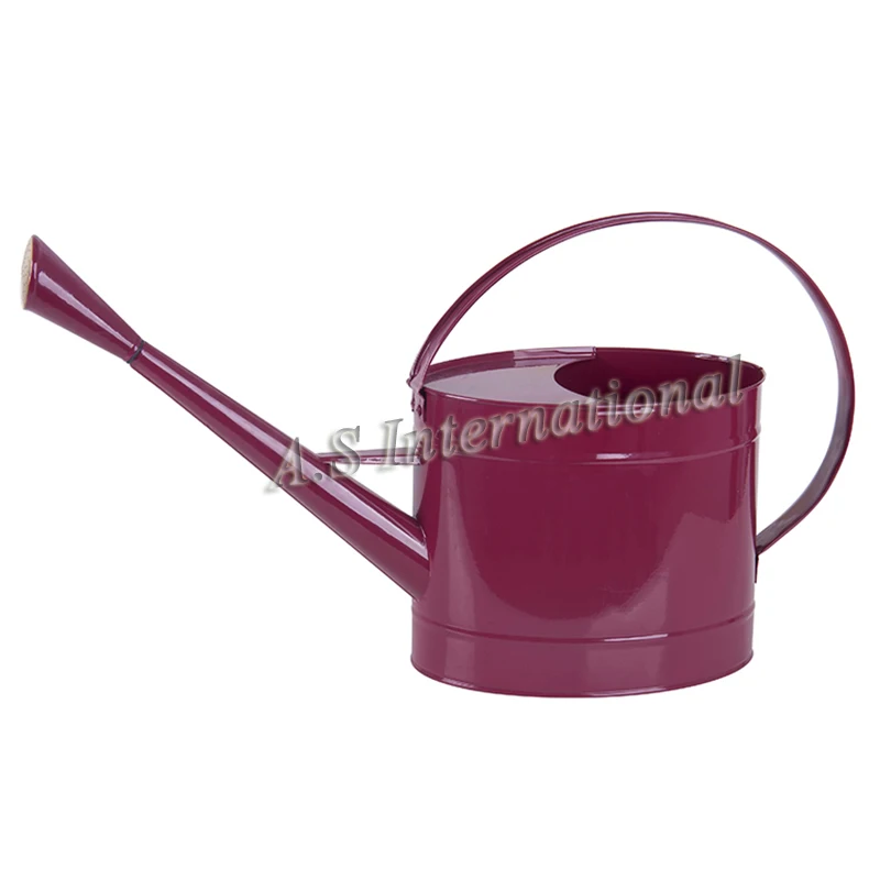 Hotsale 1 Liter Garden Water Cans Galvanized Metal Watering Can With Antirust Powder Coating