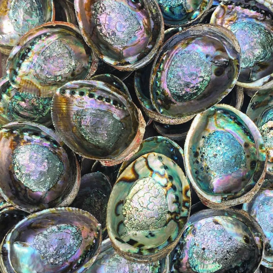 Wholesale Price Polished Rough Smudge Sage Stick Bundle Kit Bulk Raw