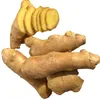 Available Now Bulk Quality Dried Ginger for sale