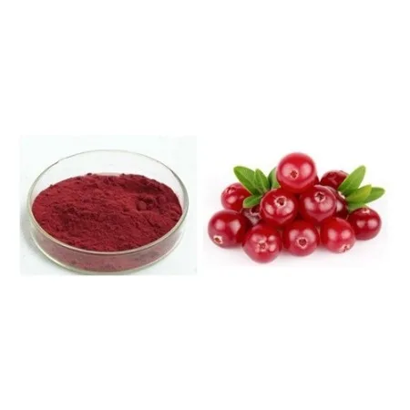 factory supply cranberry extract at low cost