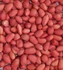 BEST BUY GROUNDNUT KERNEL BOLD 50/55 PRICE