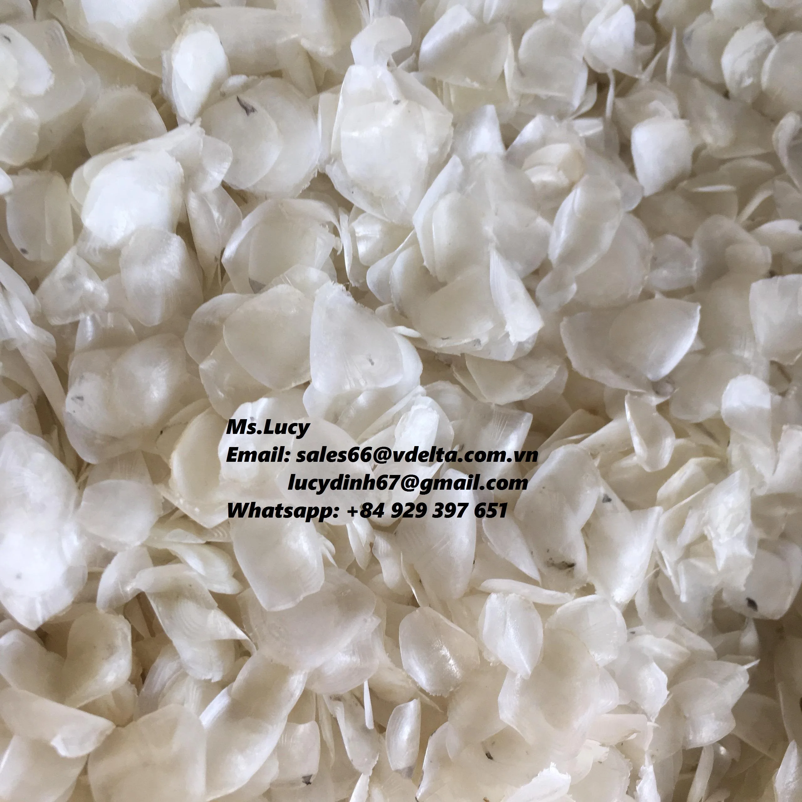 Dried Tilapia And Barramundi Fish Scales For Industries From Vietnam Ms