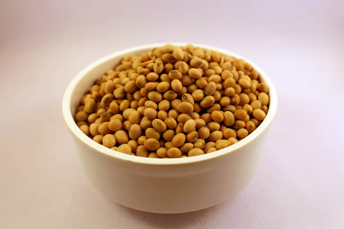 soyabeans / healthy rich protein contains soyabean seed / gmo