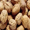 walnuts