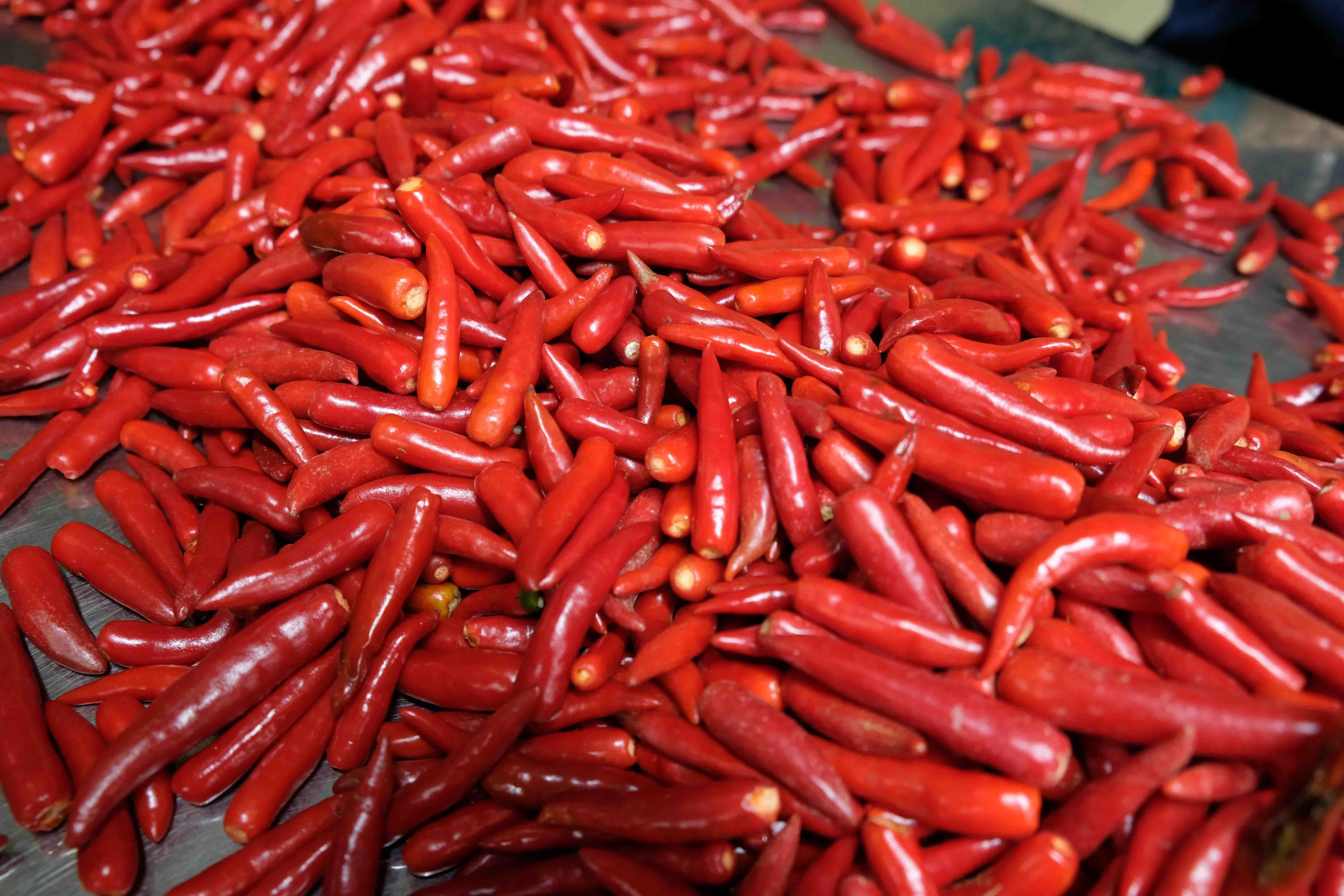 high quality frozen fresh red chili pepper