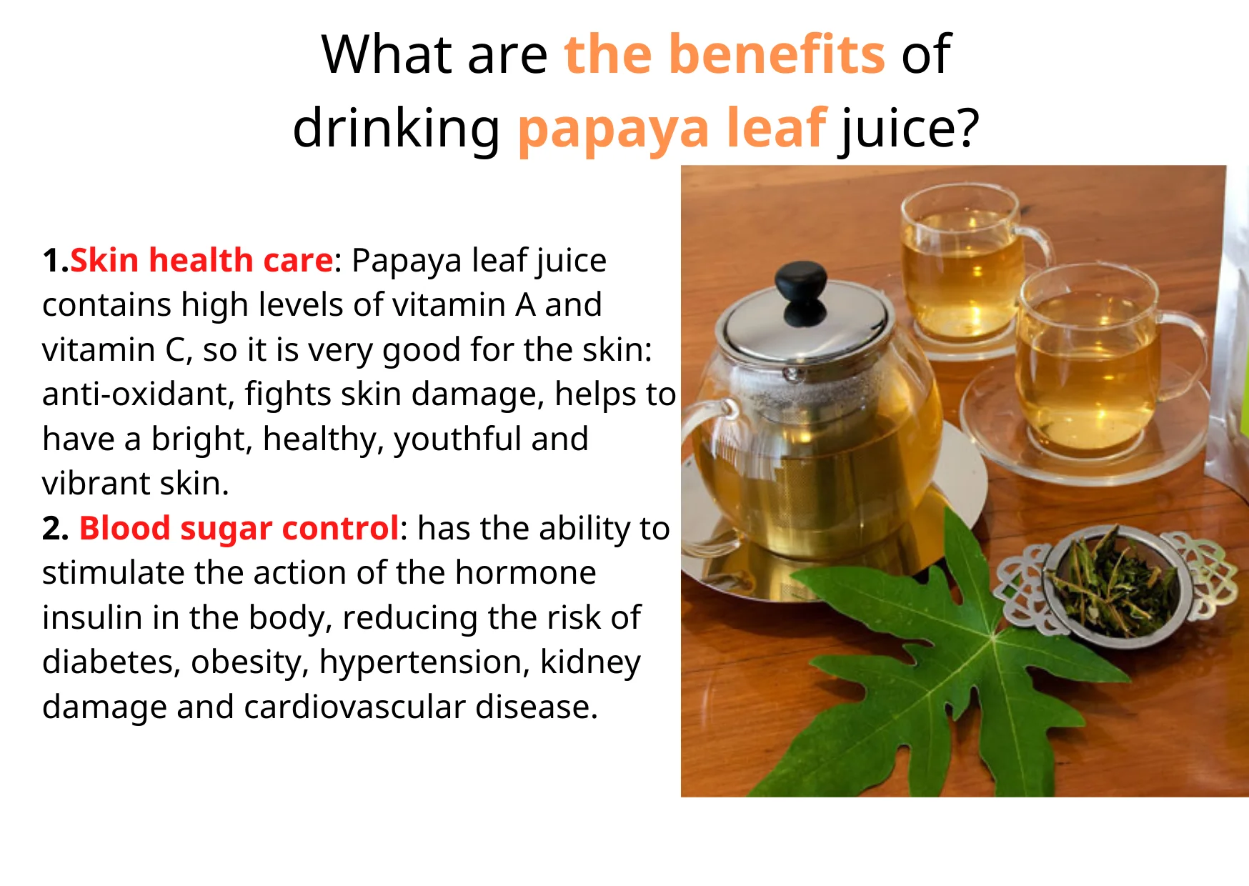 Carica Leaves/ Dried Pitaya Leaves/ Pawpaw Leaf Ms. Alila +84 979 478