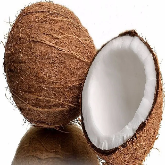 fresh mature coconut/ semi husked coconut for sale