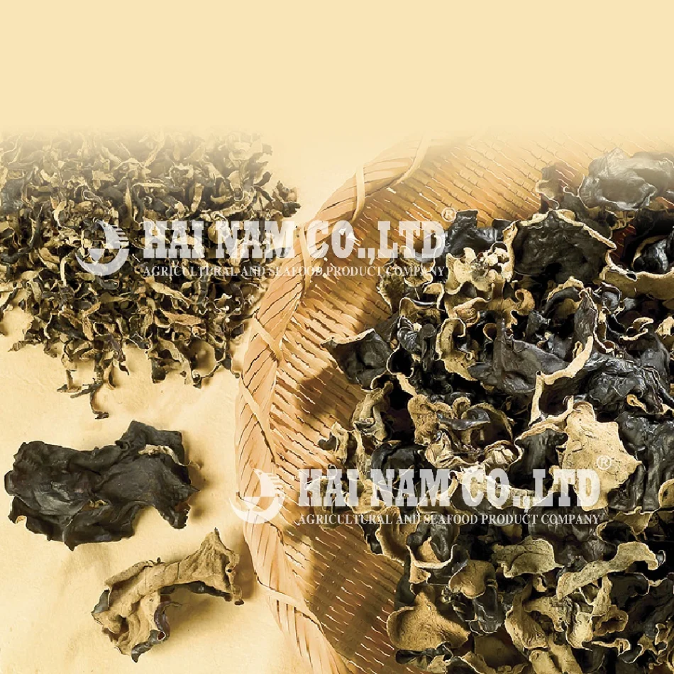 
Hainam Brand Wholesale High Quality Raw Processing Type Dried Mushroom Fungus Made In Vietnam 