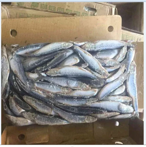 Sardine Fish paki ...PNG