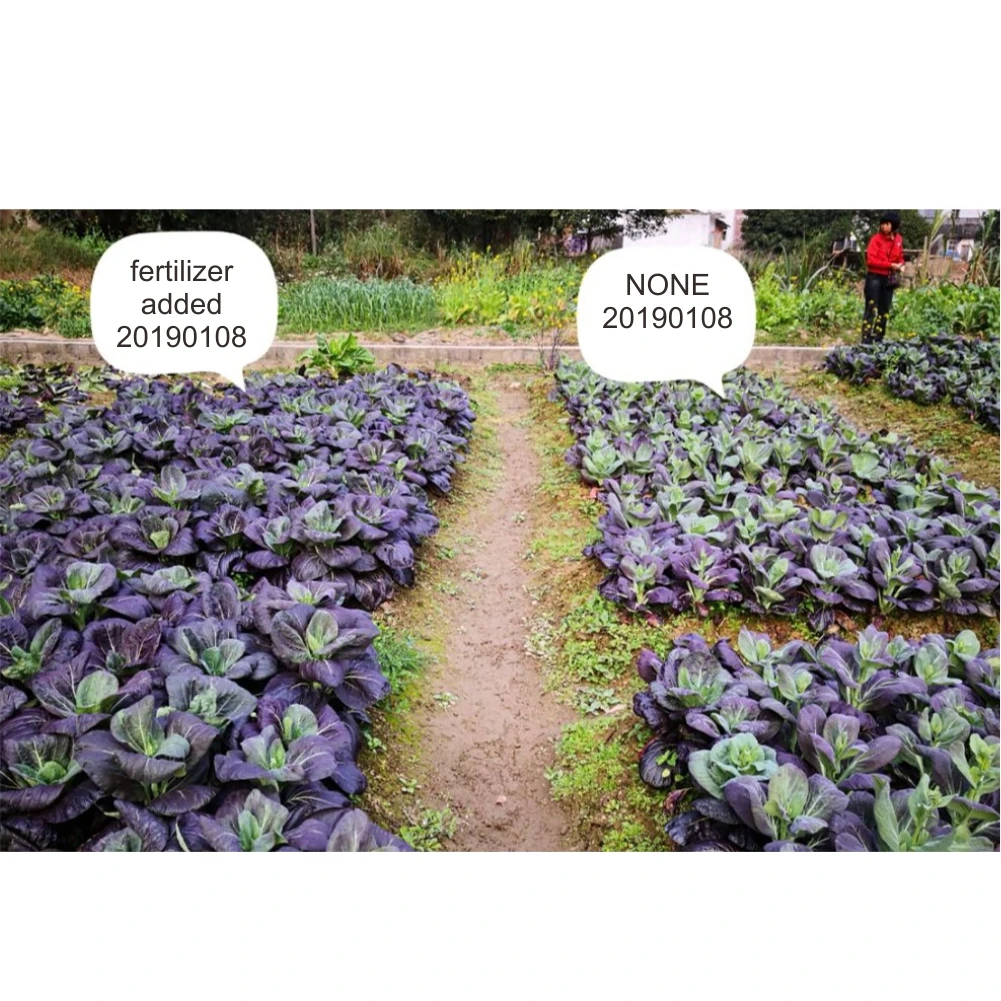 
organic fertilizer agriculture material 
