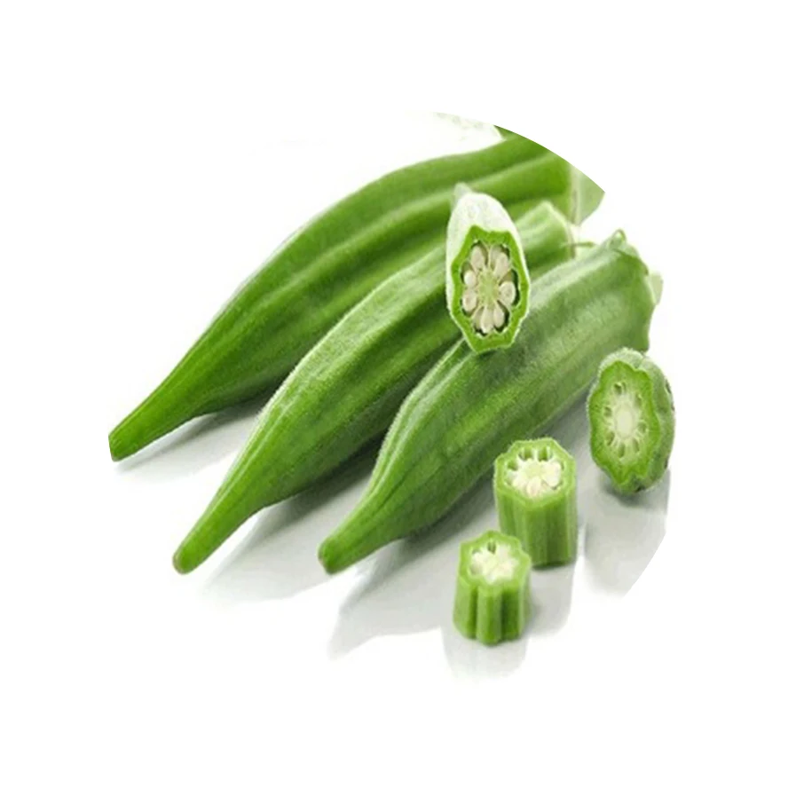 hot selling fresh vegetables fresh okra , ladyfinger , bhindi