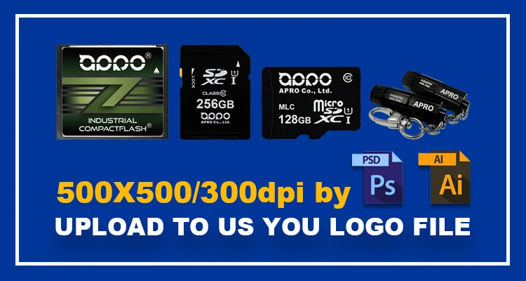 APRO High Endurance SLC PCMCIA ATA Card 512MB HERMIT-A Series for CNC Voting Gamming Credit card machine - ANKUX.COM