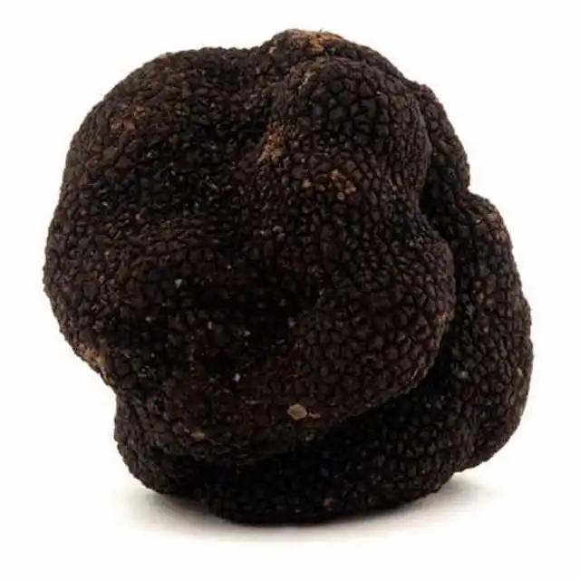 Black mushroom 02.jpg