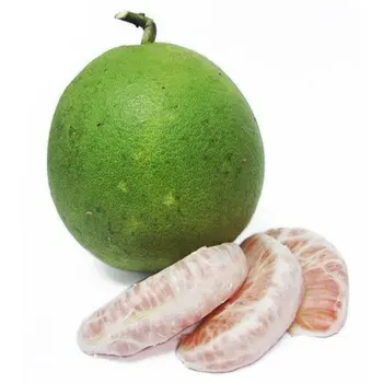 white grapefruit image