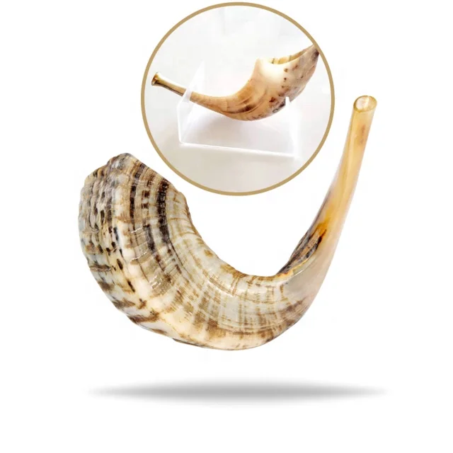 Best Quality Natural Horn Ram Shofar Horn Shofar For Instrumental Ram