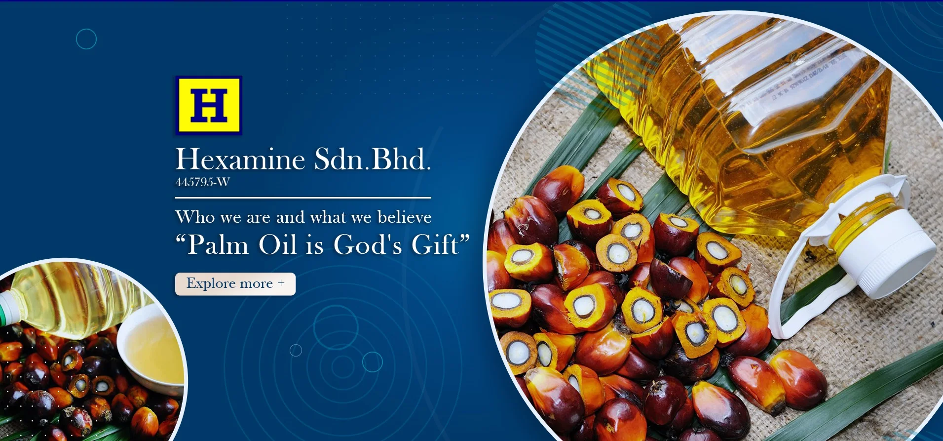 Top Grade Cooking Oil Rbd Palm Olein By Hexamine Malaysia Buy Cooking Oil Palm Cooking Palm Cooking Oil Cooking Palm Oil Product On Alibaba Com