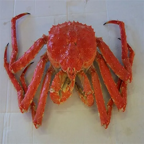 Live Red Norwegian King Crabfrozen King Crab Legsfrozen Blue Swimming