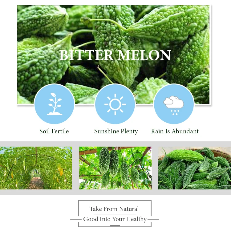 bitter melon tea (17).jpg