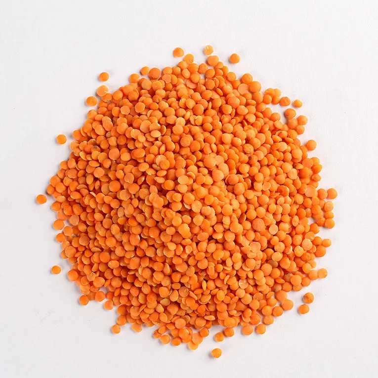 red split football lentils organic for sale canadian red lentils