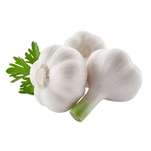 2019 fresh white garlic for indonesia market