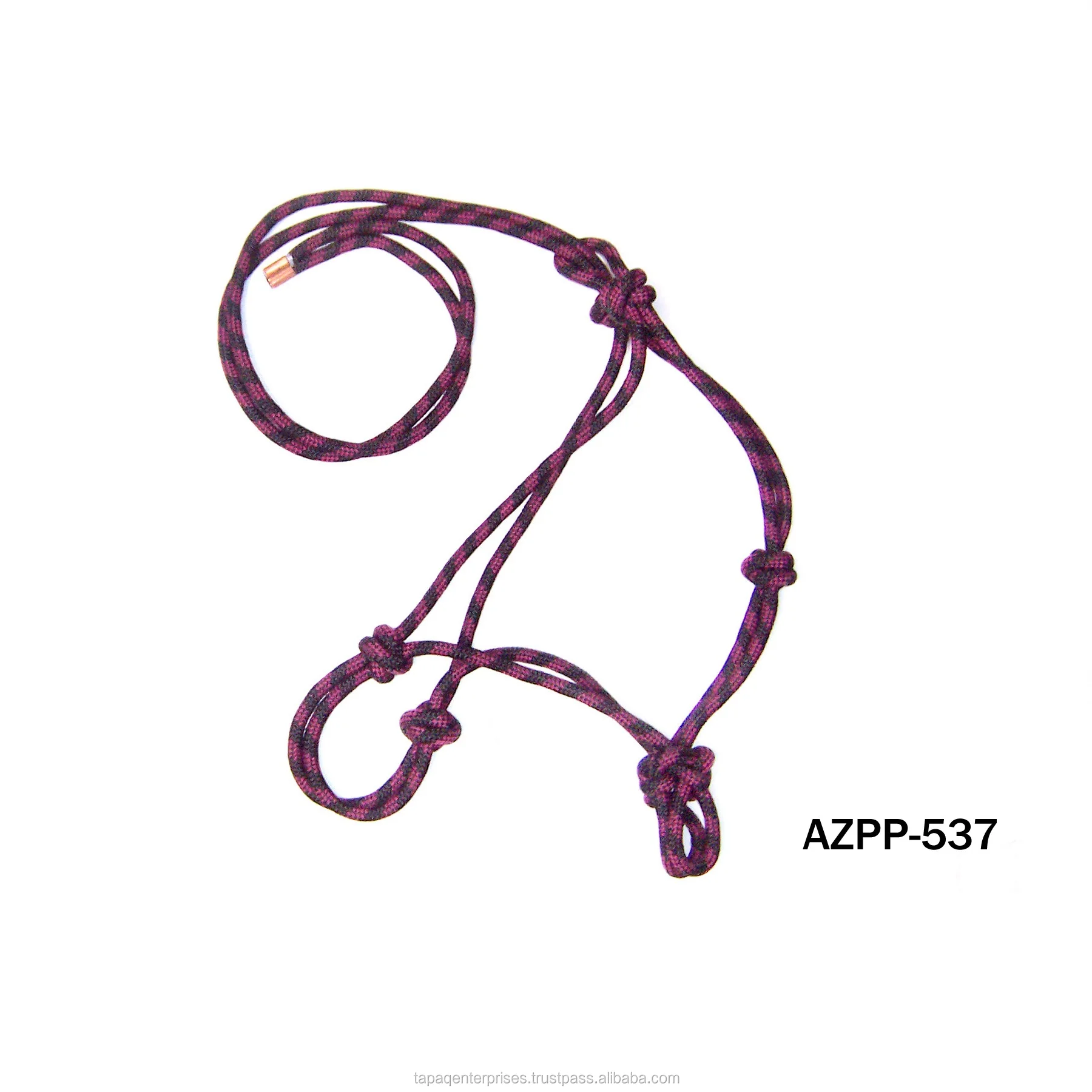 AZPP 537.jpg