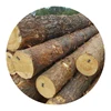 /product-detail/hight-quality-and-best-log-prices-pine-wood-logs-62017722217.html