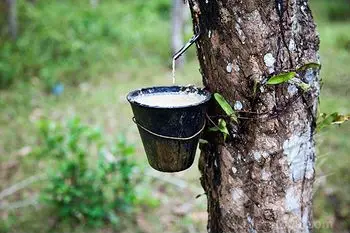 The natural rubber industry products have a