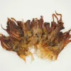 Dried Squid Head/Tentacle
