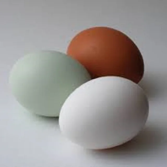 100% Brown/White Chicken Table Eggs