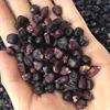 Black purple corn seed/field corn seed/sweet corn seed for growing